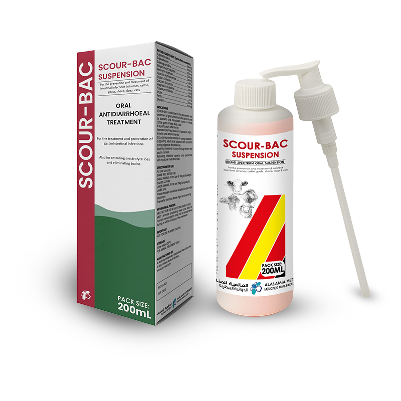 : SCOUR-BAC is a broad-spectrum oral suspension formulated for the prevention and treatment of bacterial gastrointestinal infections in animals. It effectively combats bacterial scours and enteritis in calves, lambs, and small animals, providing intestinal relief and restoring digestive balance.